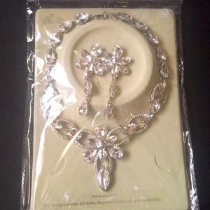 Bling necklace and earrings